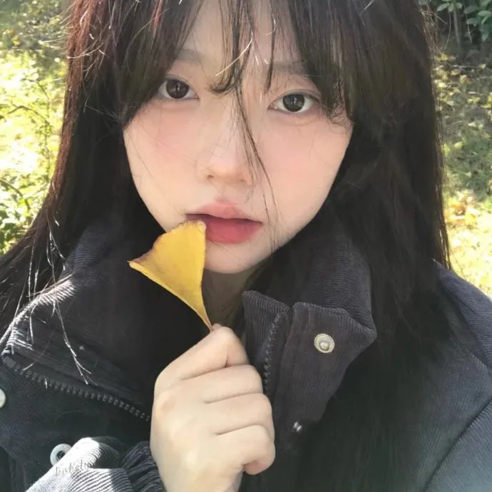 似曾相识